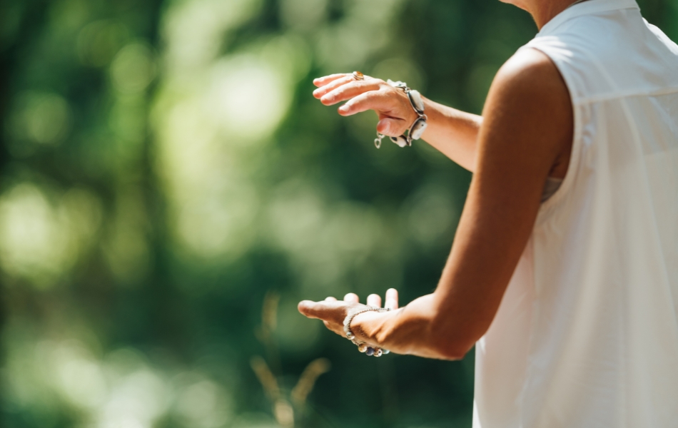 tai chi kalamazoo nature center