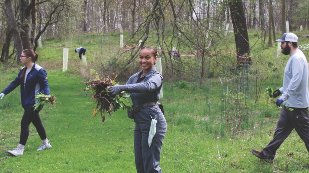 volunteer holding garlic mustard