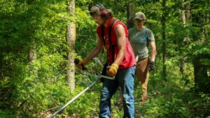 Invasive Species Mgmt