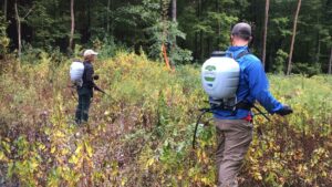Invasive species mgmt (1)