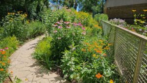 Native Gardens 3yr est
