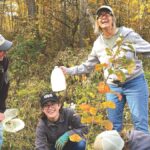 people in forest planting trees in fall