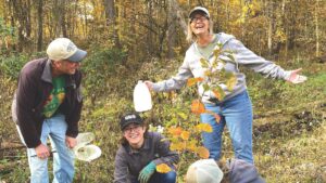people in forest planting trees in fall