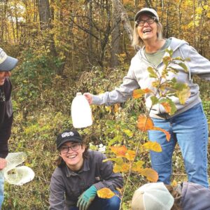 people in forest planting trees in fall