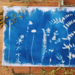 Cyanotype workshop kalamazoo nature center