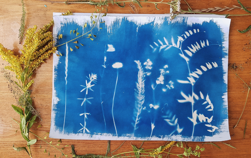Cyanotype workshop kalamazoo nature center