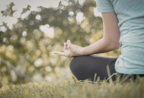 Youth Mindfulness Night kalamazoo nature center