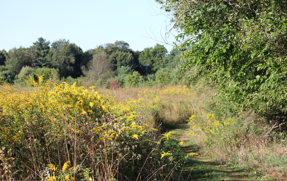 golf cart tours kalamazoo nature center