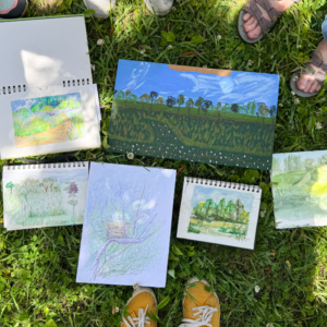 outdoor art group kalamazoo nature center