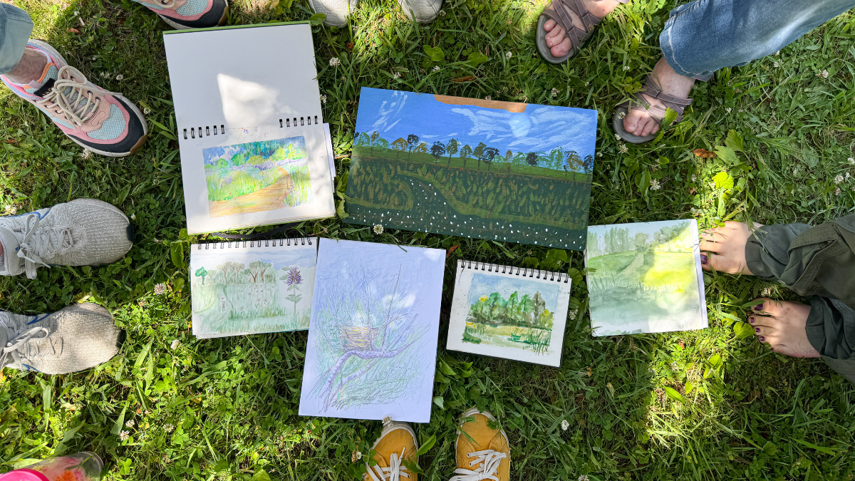 outdoor art group kalamazoo nature center