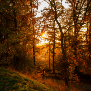 Sunset opera outdoors kalamazoo nature center