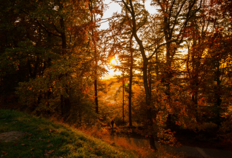 Sunset opera outdoors kalamazoo nature center