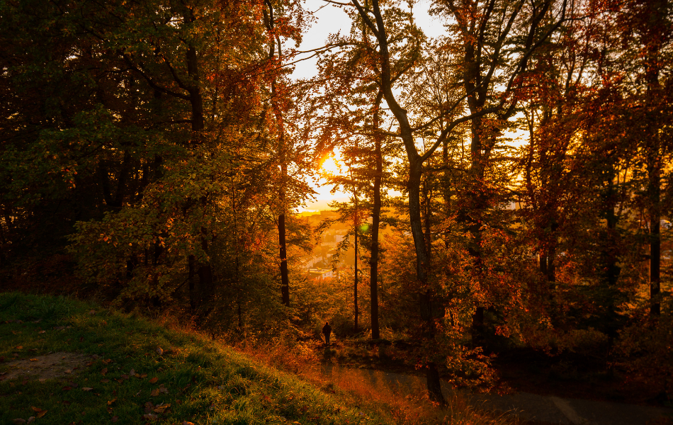 Sunset opera outdoors kalamazoo nature center