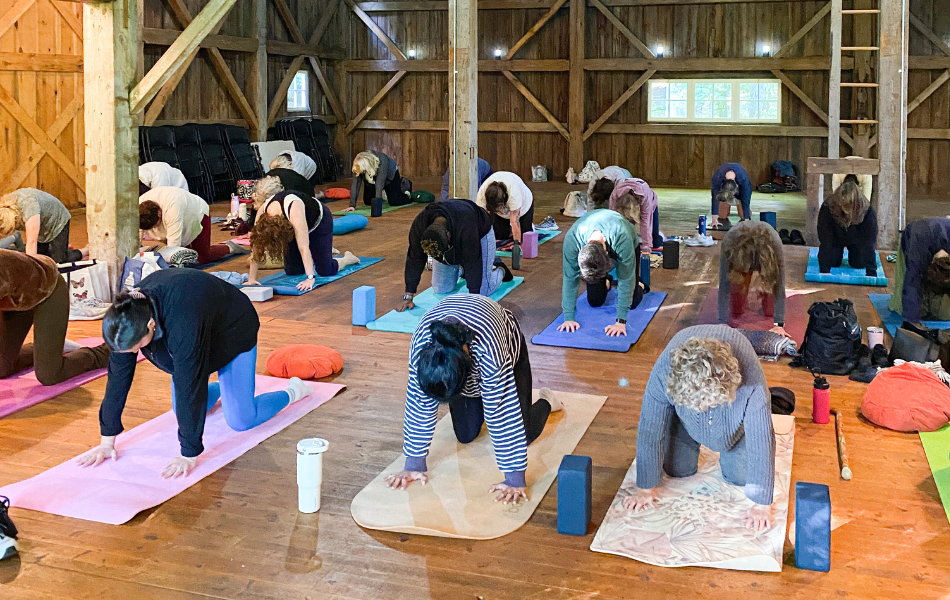yoga with apral kalamazoo nature center