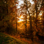 sunset opera outdoors kalamazoo nature center