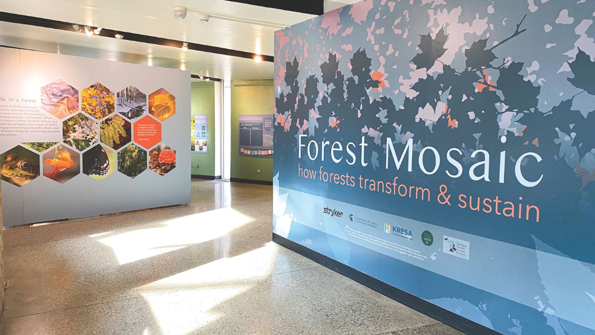 Kalamazoo Nature Center Forest Exhibit