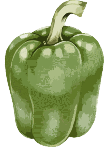 green pepper