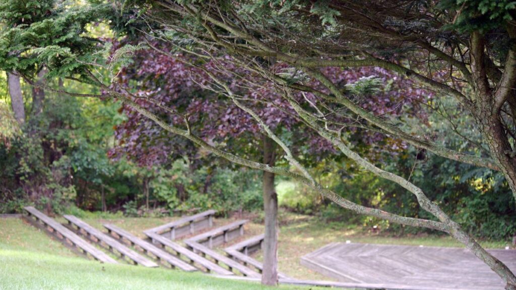 wooded background with amphitheater