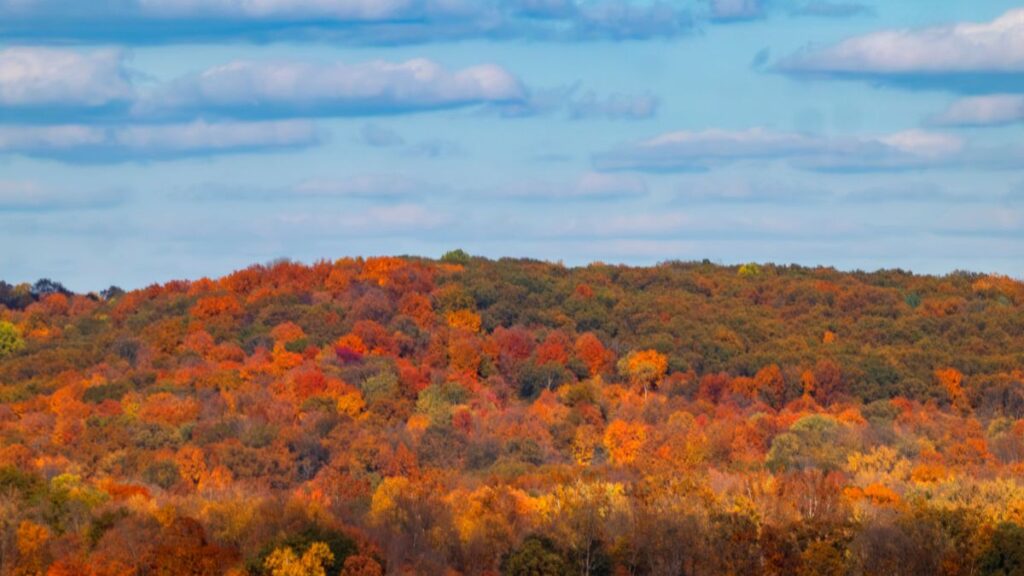 view from overlook in fall of colorful trees