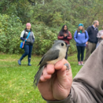 bird banding kalamazoo nature center