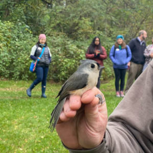 bird banding kalamazoo nature center