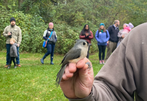 bird banding kalamazoo nature center