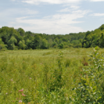 climate change kalamazoo nature center