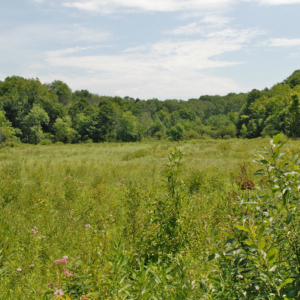 Kalamazoo nature center kalamazoo mi