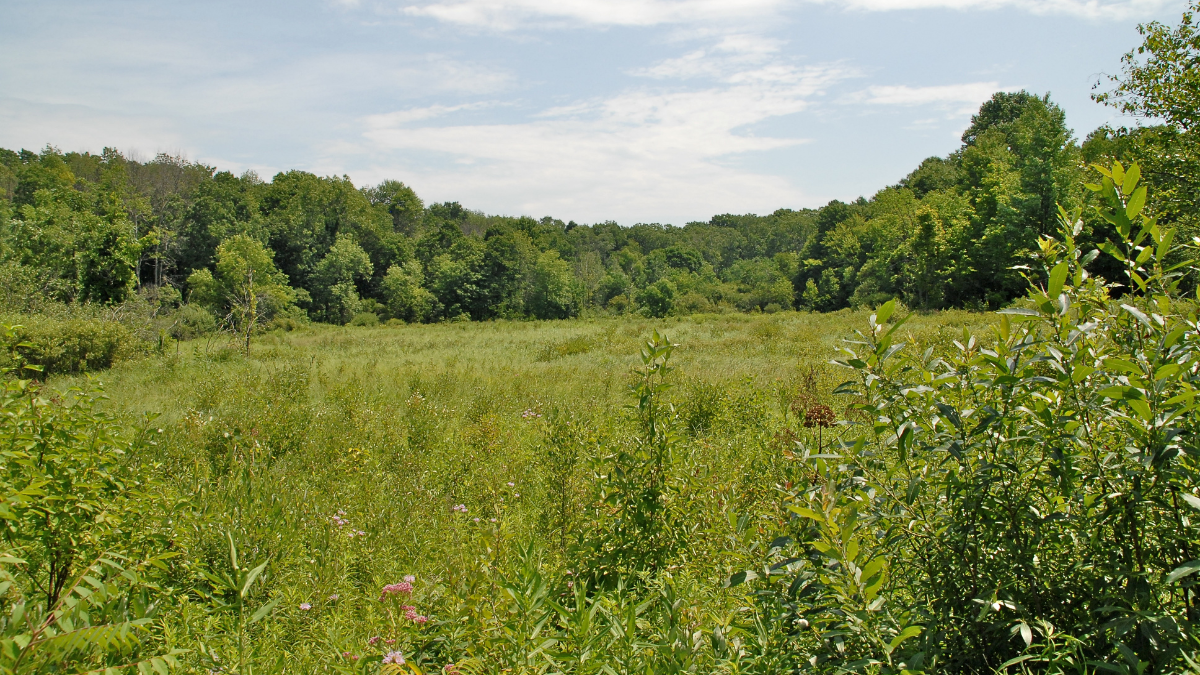 Kalamazoo nature center kalamazoo mi