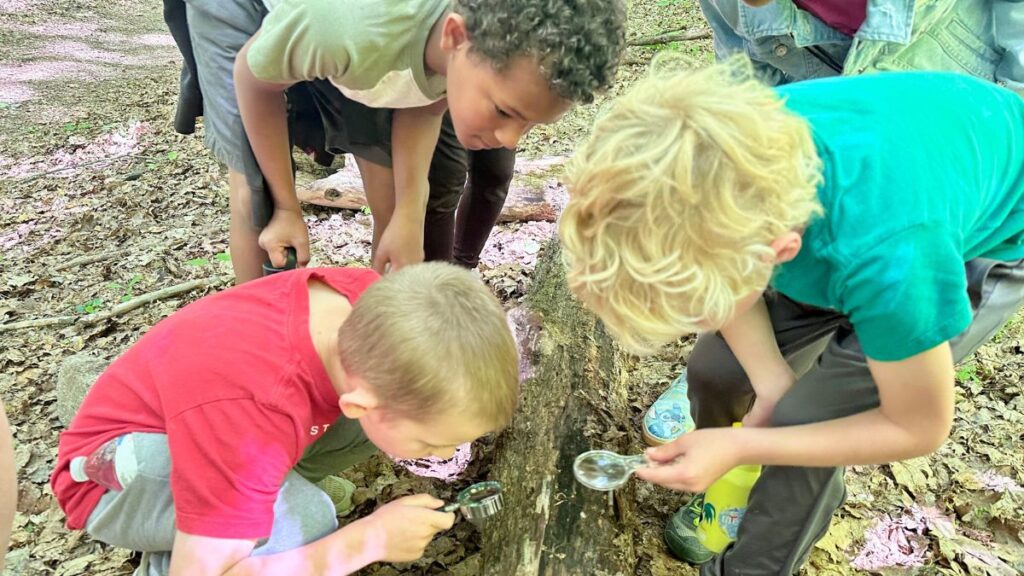 Campers outside with magnifying glass