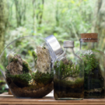 Moss Terrarium Workshop kalamazoo nature center